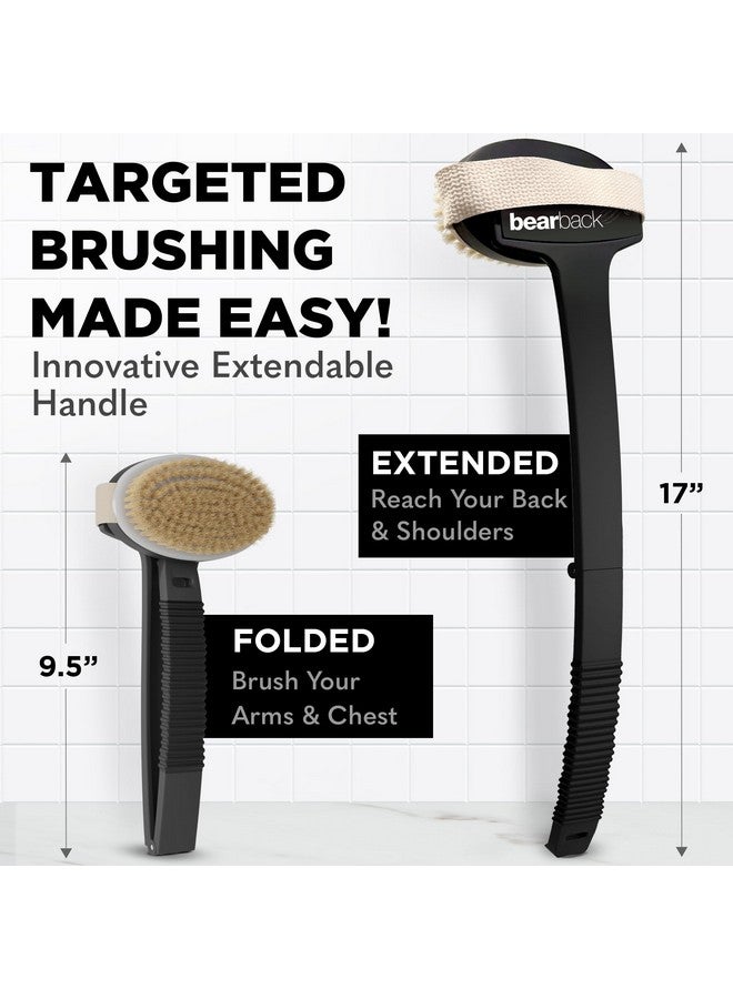 bearback Dry Brushing Body Brush With Natural Bristles - Premium Exfoliating Brush For Shower Or Dry Brushing | Long Folding Handle, Removable Brush Head - Image 2