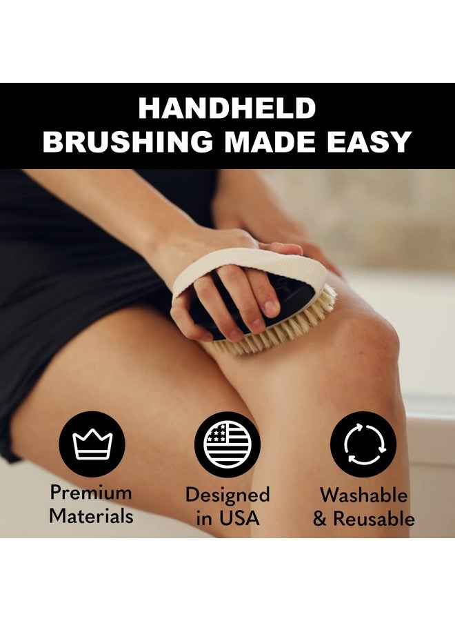 bearback Dry Brushing Body Brush With Natural Bristles - Premium Exfoliating Brush For Shower Or Dry Brushing | Long Folding Handle, Removable Brush Head - Image 4