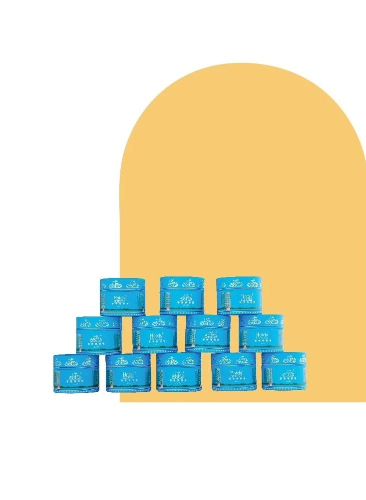 عود لافر عود الفنادق ميني 10 جرام 12 حبة