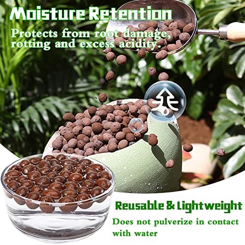 Legigo 4 LB Organic Leca Clay Pebbles for Plants, 4mm-16mm 100% Natural Leca Balls for Indoor Plants, Hydroton Clay Pebbles for Plants Hydroponic Aquaponics Growing Orchid Drainage Terrarium - Image 4