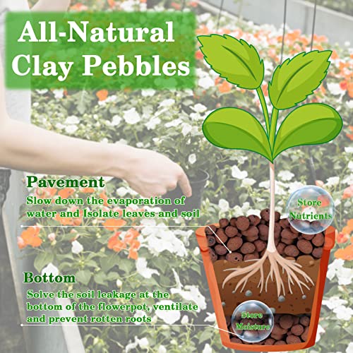 Legigo 4 LB Organic Leca Clay Pebbles for Plants, 4mm-16mm 100% Natural Leca Balls for Indoor Plants, Hydroton Clay Pebbles for Plants Hydroponic Aquaponics Growing Orchid Drainage Terrarium - Image 3