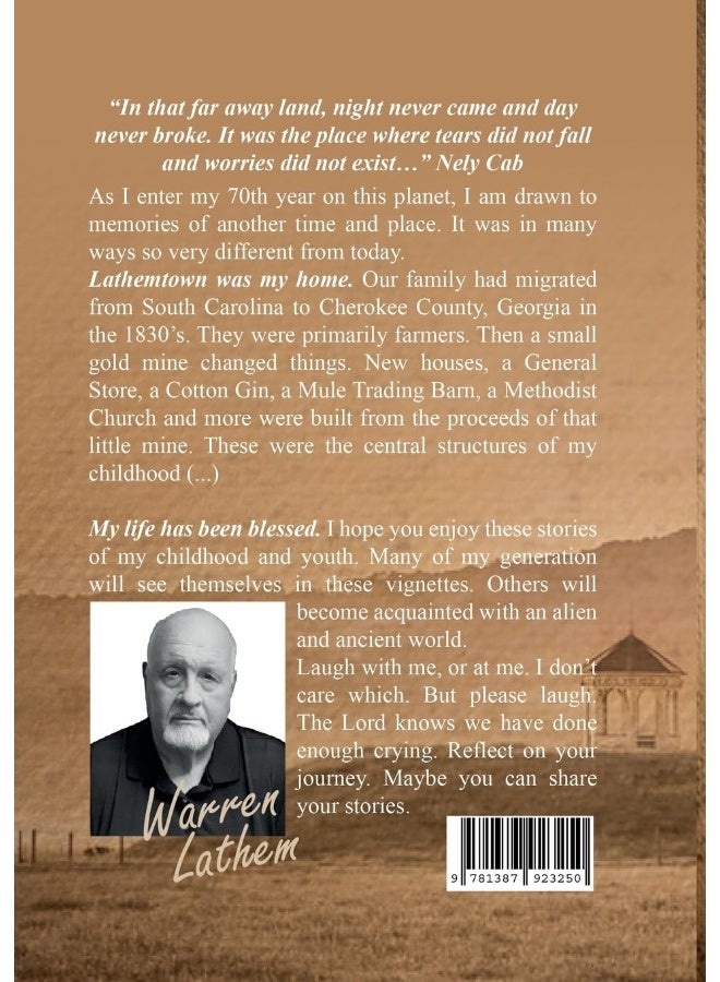 Tears Did Not Fall: Stories from a far away land, rural north Georgia of the 1950's and 60's. - Image 2