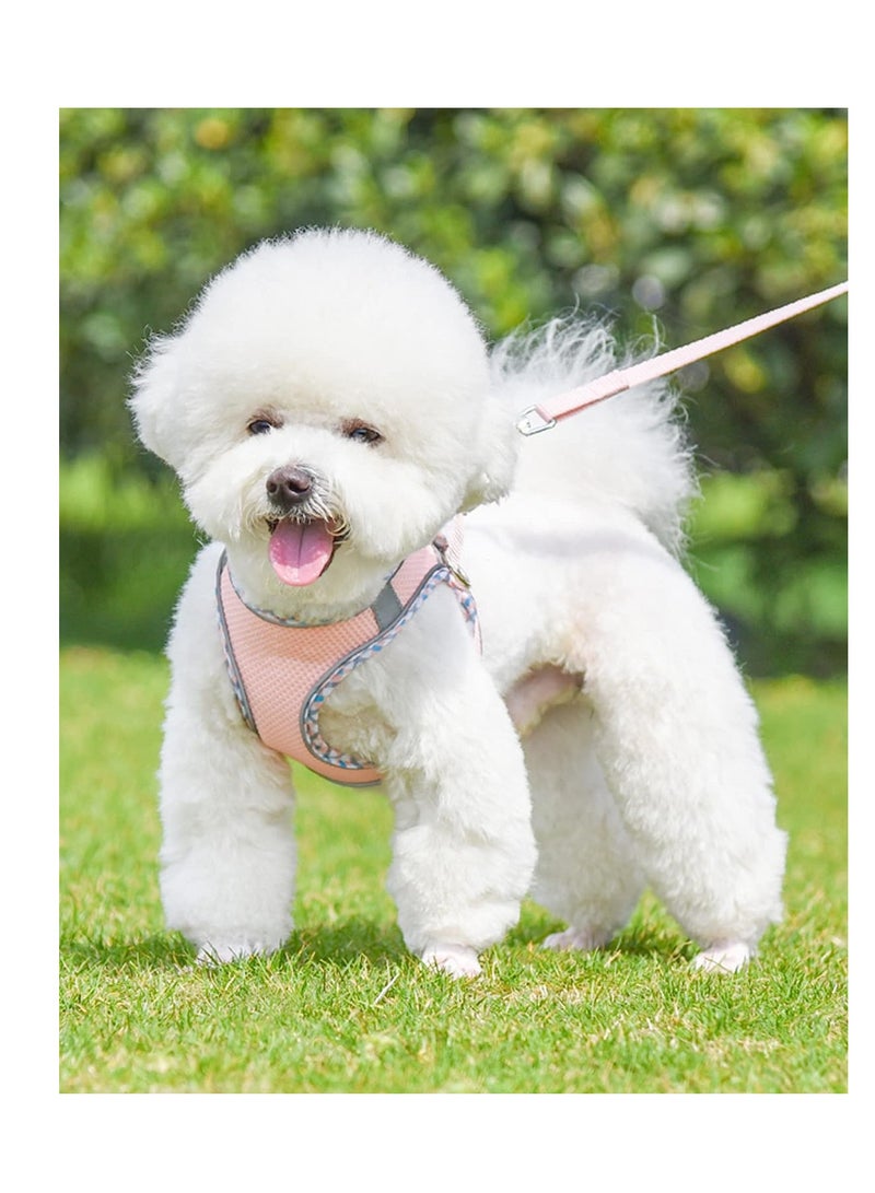 KASTWAVE Dog Harness with Leash Set, No Pull, Puppy Harness and Leash Set, Easy Walk Dog Harness for Walking, Running, Training, for Small Medium Large Dogs, Pink, XXS - Image 2