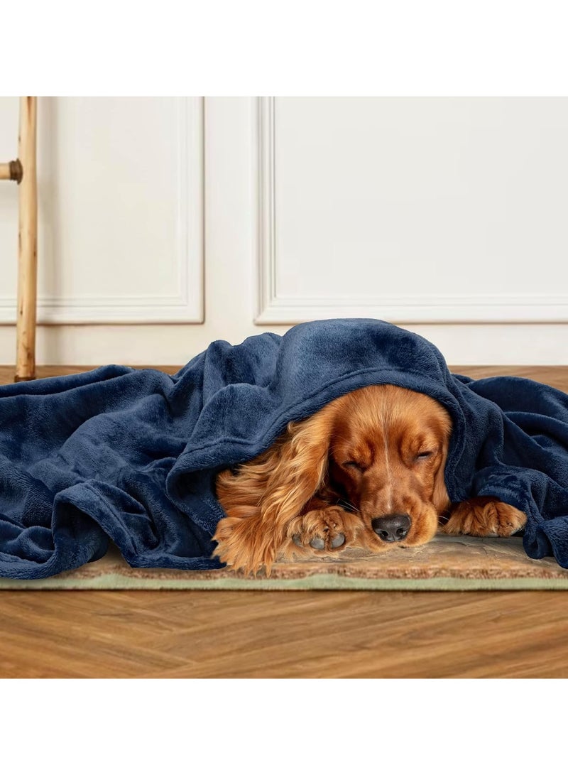 بي اس بي هوم بطانية فردية فاخرة من BSB HOME® 220 جرام لكل متر مربع للسرير والأريكة والكنبة والسفر والتخييم | 150 x 220 سم | أزرق  - Image 4
