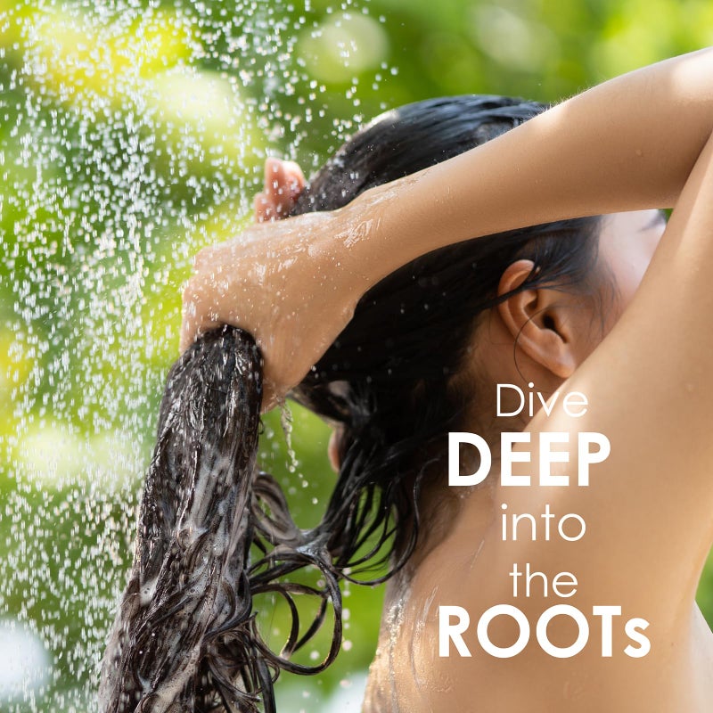 Sh Rd شامبو SH-RD ريشي لتكثيف الشعر الرقيق والمتساقط | شامبو تكثيف مع مستخلص ريشي، إكليل الجبل، زيت الأركان | منتجات العناية بالشعر لزيادة الحجم | شامبو خالي من البارابين - 6.76 أونصة/200 مل - Image 4