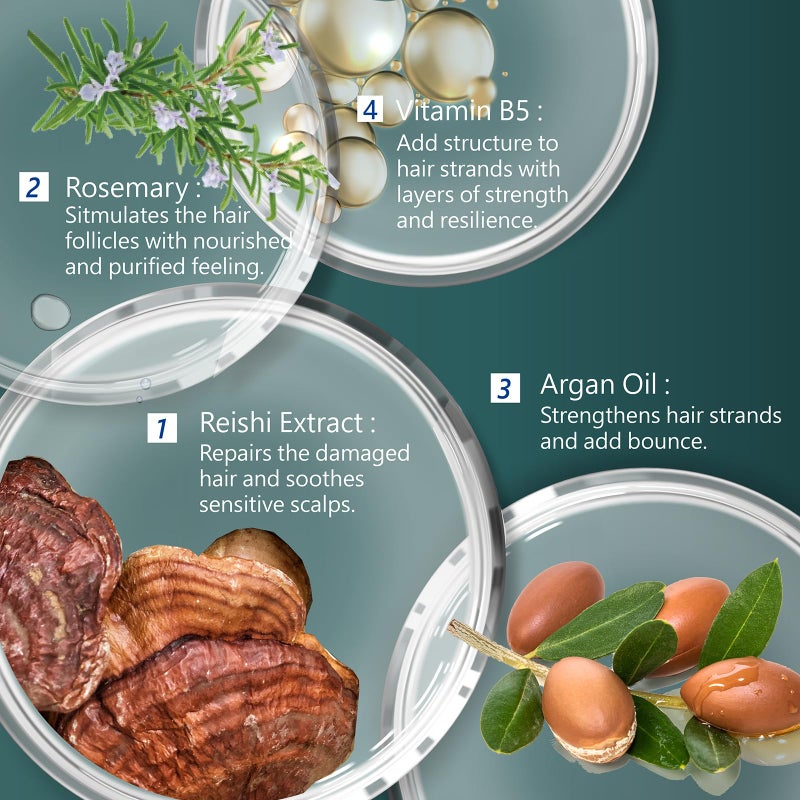 Sh Rd شامبو SH-RD ريشي لتكثيف الشعر الرقيق والمتساقط | شامبو تكثيف مع مستخلص ريشي، إكليل الجبل، زيت الأركان | منتجات العناية بالشعر لزيادة الحجم | شامبو خالي من البارابين - 6.76 أونصة/200 مل - Image 3