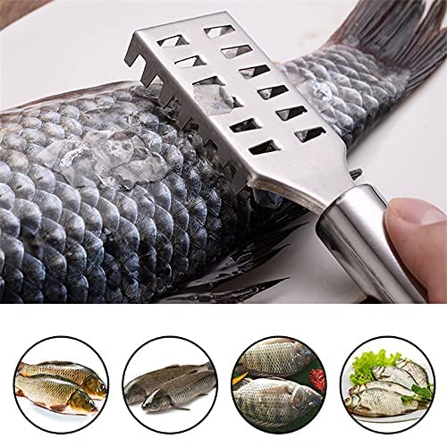 NURIOR NURIOR Kitchen Fish Skin Remover Scale Scraper, Knife, Swtooth Descaler Peeler, Skin Peeler, Fish Tools, Stainless Steel Fish Cleaning Brush Machine for Kitchen Fish Scaler Cutting Knife (Pack 3) - Image 4
