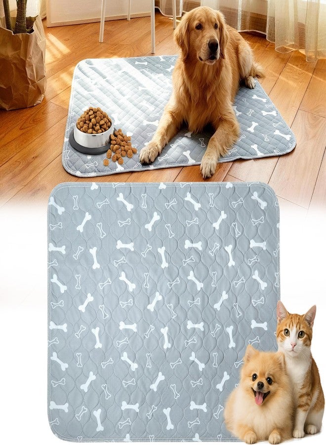 NYEONHRT Washable and Reusable Puppy Pee Pads for Dogs Super Durable Chew Proof with Waterproof TPU Backing Non Slip Design Portable for Home Travel and Outdoor Use Gray Medium 2 Pack - Image 1