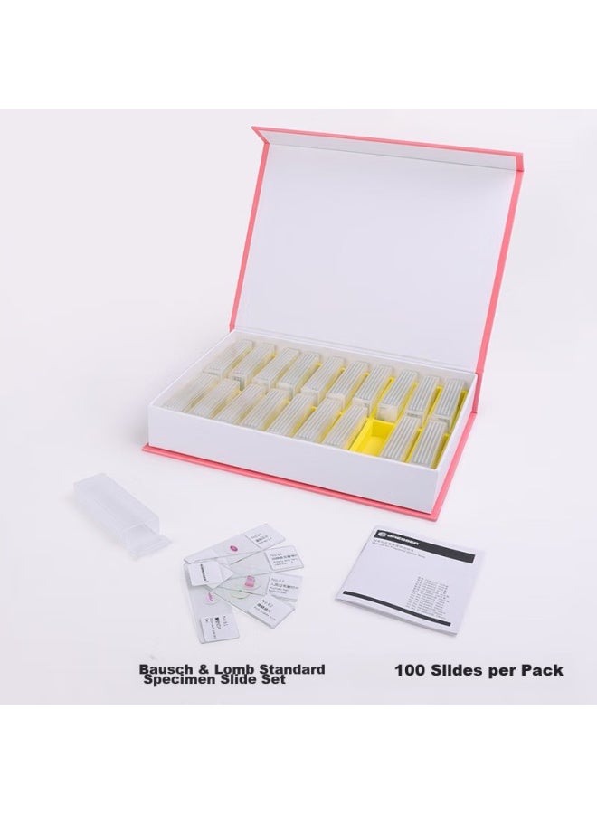 Bresser Microscope Accessories, Biological Specimen Slides, Educational Microbiology And Zoology Insect Specimens, 100 Pieces Per Pack - Image 3