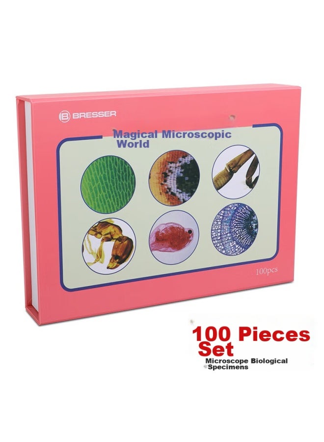 Bresser Microscope Accessories, Biological Specimen Slides, Educational Microbiology And Zoology Insect Specimens, 100 Pieces Per Pack - Image 1
