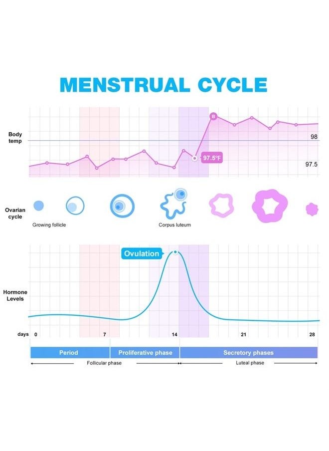 Easy@Home - 100 Ovulation Test and 20 Pregnancy Test Strips, FSA Eligible Ovulation Test Kit Powered by Premom Ovulation Predictor Free iOS&Android APP,100LH +20HCG--Package May Vary - Image 1