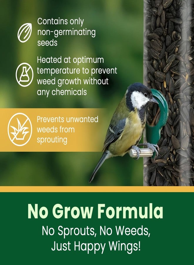 Happy Wings Black Oil Sunflower Bird Food, 5 Pounds | No Grow Seed | Bird Seed for Wild Birds - Image 2