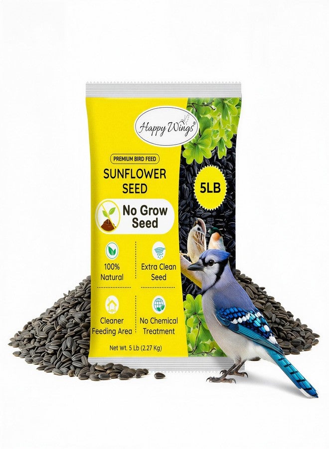 Happy Wings Black Oil Sunflower Bird Food, 5 Pounds | No Grow Seed | Bird Seed for Wild Birds - Image 1