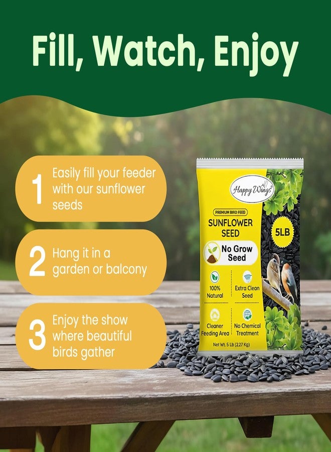 Happy Wings Black Oil Sunflower Bird Food, 5 Pounds | No Grow Seed | Bird Seed for Wild Birds - Image 3