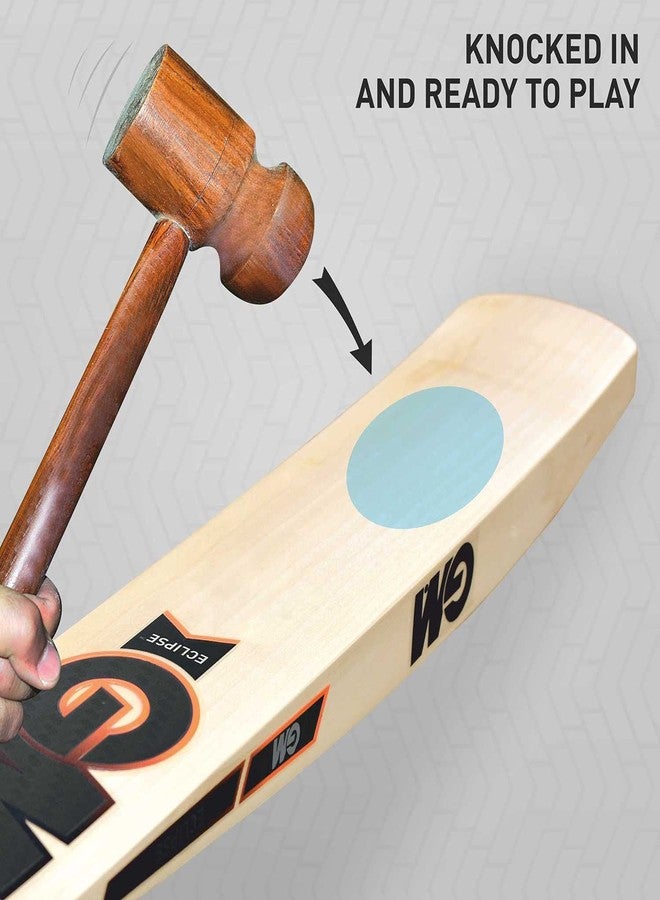 GM Eclipse 404 English Willow Short Handle Cricket Bat Size-3 - Image 5