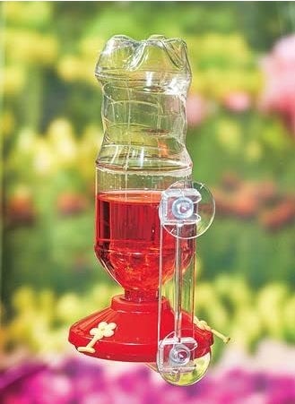 Gadjit Gadjit Hummingbird Window Feeder Fun Project for Kids at Home Red  - Image 1