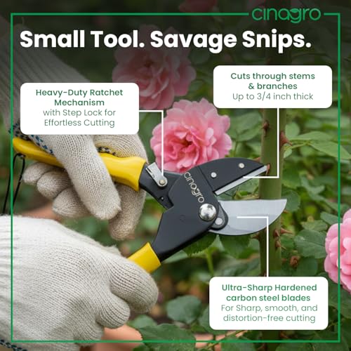 Cinagro 8.5 Inch Anvil Pruner, Ultra Sharp Hardened Steel Blade, Cuts Up to 3/4 Inch Branches, Garden Hoses or PVC Pipes, Full Metal Body, Anti-Slip Ergonomic Grip, Single-Hand Lever Operation - Image 3