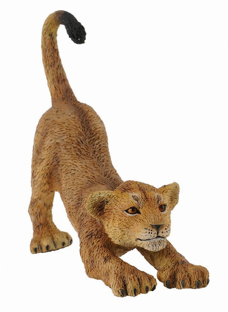 Collecta - Lion Cub Stretching - 88416