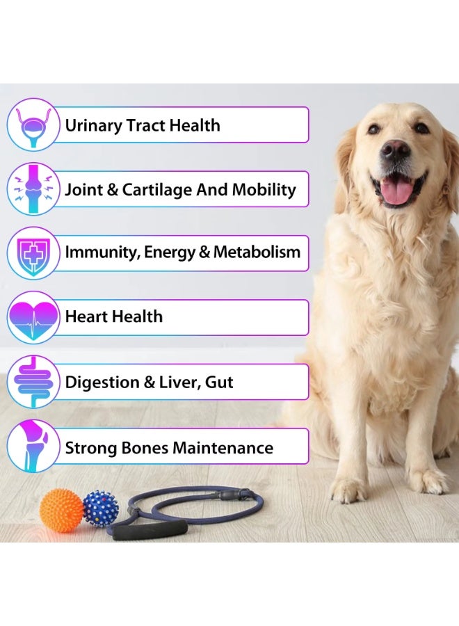 Oimmal 15 في 1 فيتامين متعدد للحيوانات الأليفة 60 مل - Image 4