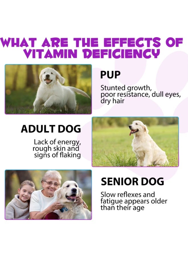 Oimmal 15 في 1 فيتامين متعدد للحيوانات الأليفة 60 مل - Image 5