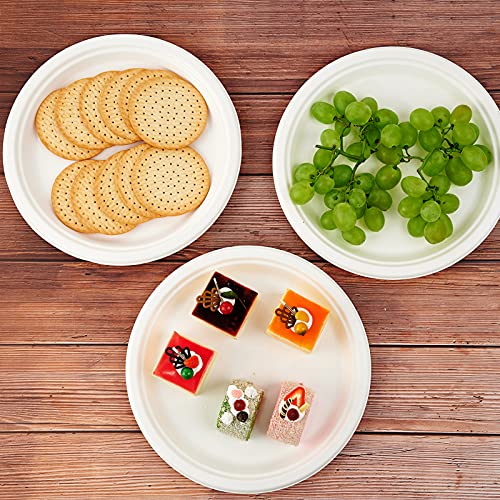 Vplus 150 Pack Compostable Disposable Paper Plates 10.25 inch Super Strong Paper Plates 100% Bagasse Natural Biodegradable Eco-Friendly Sugarcane(white) - Image 4