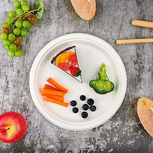 Vplus 150 Pack Compostable Disposable Paper Plates 10.25 inch Super Strong Paper Plates 100% Bagasse Natural Biodegradable Eco-Friendly Sugarcane(white) - Image 5
