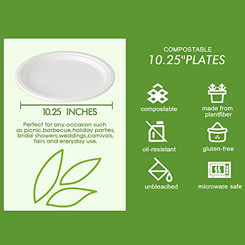 Vplus 150 Pack Compostable Disposable Paper Plates 10.25 inch Super Strong Paper Plates 100% Bagasse Natural Biodegradable Eco-Friendly Sugarcane(white) - Image 2
