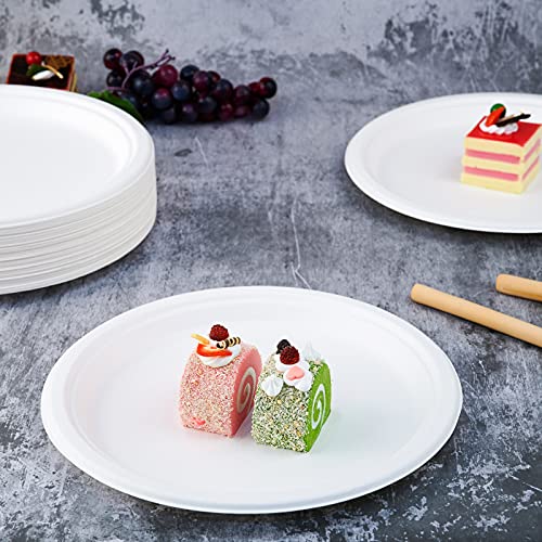 Vplus 150 Pack Compostable Disposable Paper Plates 10.25 inch Super Strong Paper Plates 100% Bagasse Natural Biodegradable Eco-Friendly Sugarcane(white) - Image 3