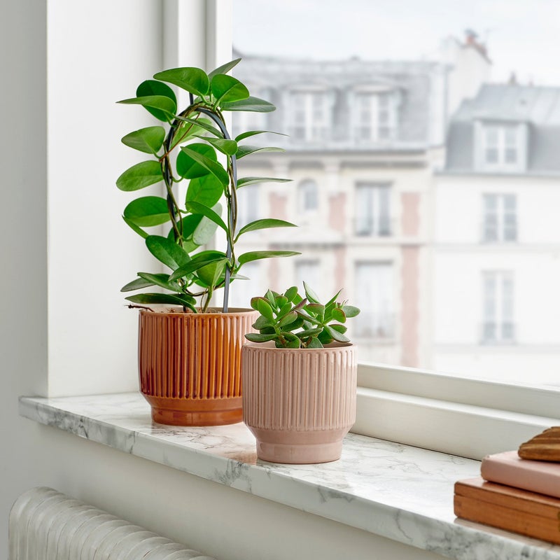Baitique Plant Pot, In/Outdoor Stoneware, Beige Ribbed, 9 cm - Image 2