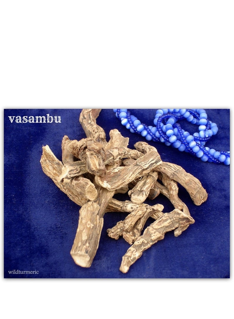 Pmw - Ayurvedic Acorus Calamus -Sweet Flag - Vasa - Vayambu - Vasambu Dried 100 Grams - Image 2