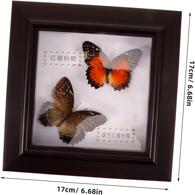 MAGICLULU Butterfly Specimen Display Frame Lifelike Wall Decor for Unique Home Decoration for Birthdays and Elegant Design Realistic Colors - Image 2