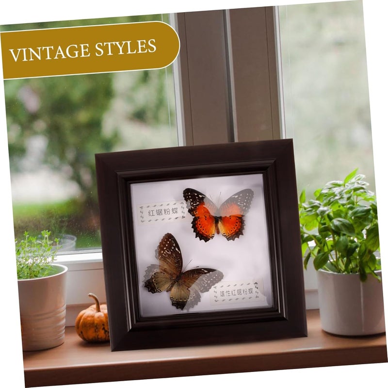 MAGICLULU Butterfly Specimen Display Frame Lifelike Wall Decor for Unique Home Decoration for Birthdays and Elegant Design Realistic Colors - Image 3