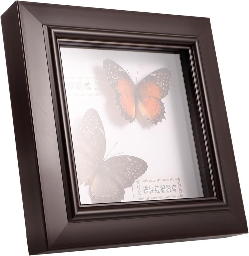 MAGICLULU Butterfly Specimen Display Frame Lifelike Wall Decor for Unique Home Decoration for Birthdays and Elegant Design Realistic Colors - Image 1