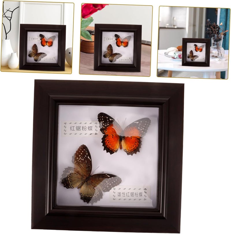 MAGICLULU Butterfly Specimen Display Frame Lifelike Wall Decor for Unique Home Decoration for Birthdays and Elegant Design Realistic Colors - Image 4