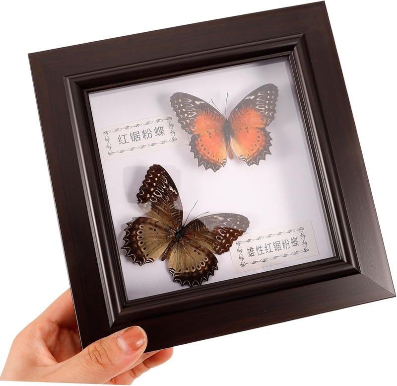 MAGICLULU Butterfly Specimen Display Frame Lifelike Wall Decor for Unique Home Decoration for Birthdays and Elegant Design Realistic Colors - Image 5