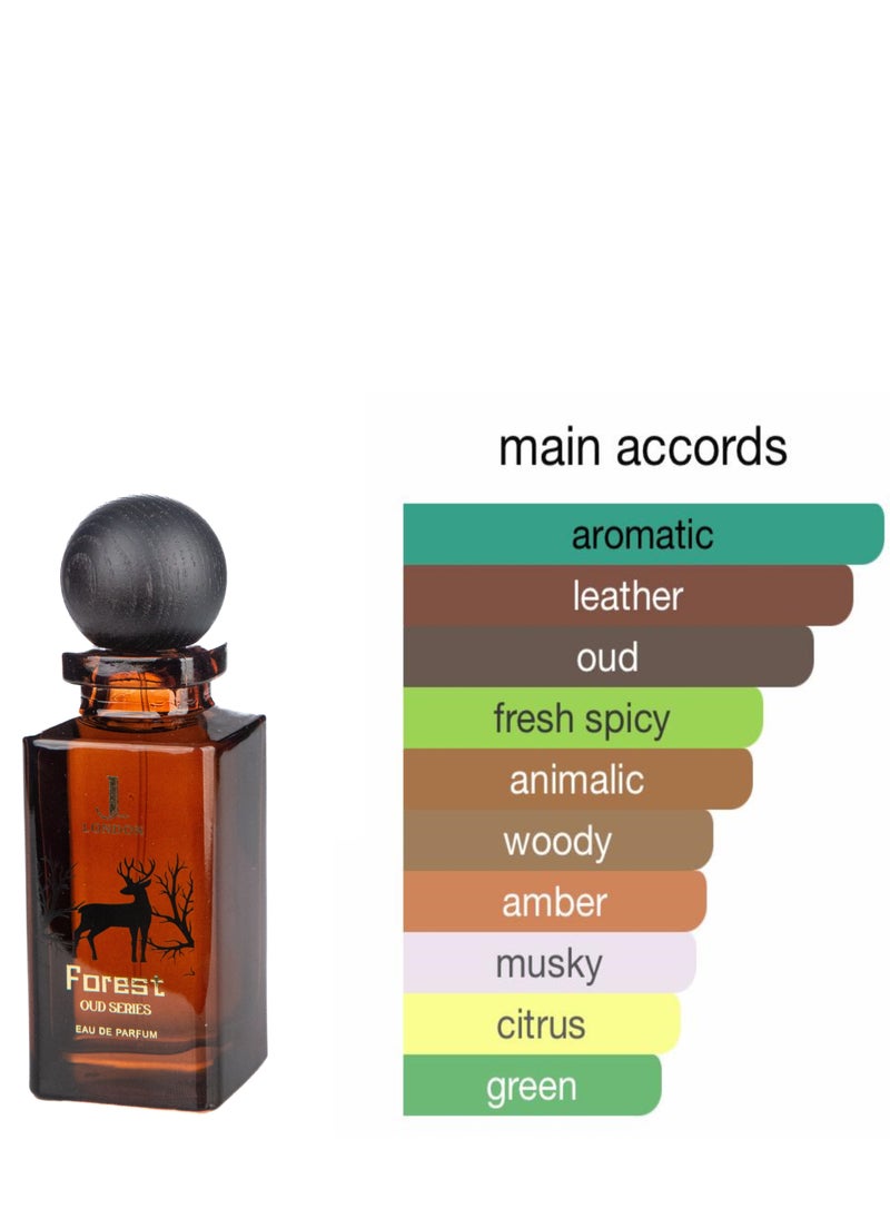 Forest Perfume: A Luxurious Eau De Parfum for Men and Women, 80ml - Ensuring Long-Lasting Fragrance Delight