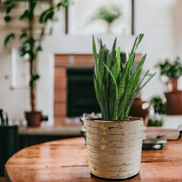 Fox & Fern Premium Imported Ceramic Planter for Vibrant Garden | Enhance The Ambiance of Your Home, Office or Garden (Dia. 5Inch) (GA133B-045 Gold+Sand) - Image 4