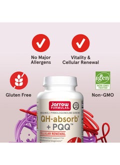 جارو فورملاز Jarrow Formulas QH-Absorb + PQQ، مكمل غذائي، يدعم مضادات الأكسدة للتكوين الحيوي للميتوكوندريا وإنتاج الطاقة الخلوية وصحة القلب والأوعية الدموية، 30 كبسولة هلامية، إمداد لمدة 30 يومًا  - Image 5