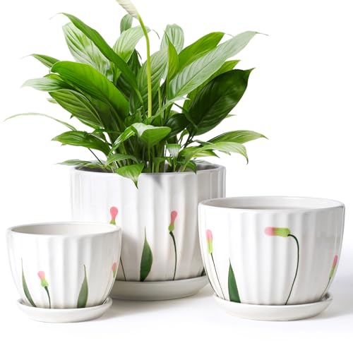 STHIE 4/5/6 Inches Ceramic Plant Pots with Drainage Holes and Saucers, Round Flower Pots for Indoor Plant, Small Flower Planters Set of 3 (White Floral-Big Size) - Image 1