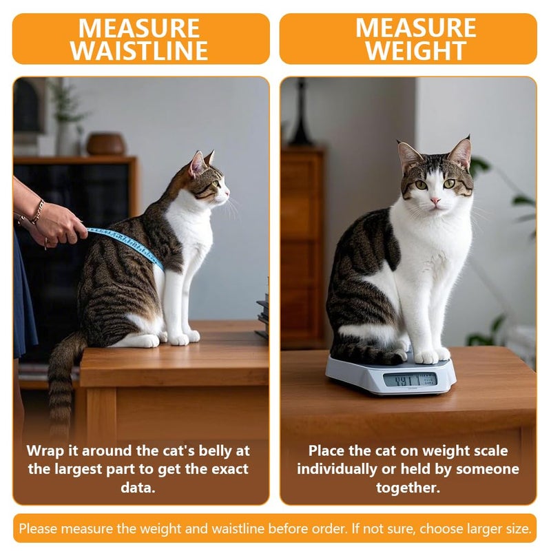 Ycozy XL Cat Doors Outer Size 11" x 9.8" 4-Way Locking Indoor Pet Door for Interior Exterior Door Wall Window, Weatherproof Cat Flap for Kittens & Dogs Easily Install - Image 5