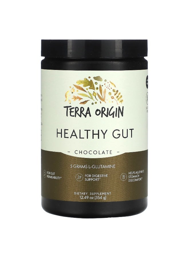 Terra Origin, Healthy Gut, Chocolate, 12.49 oz (354 g) (Packaging may vary) - Image 1
