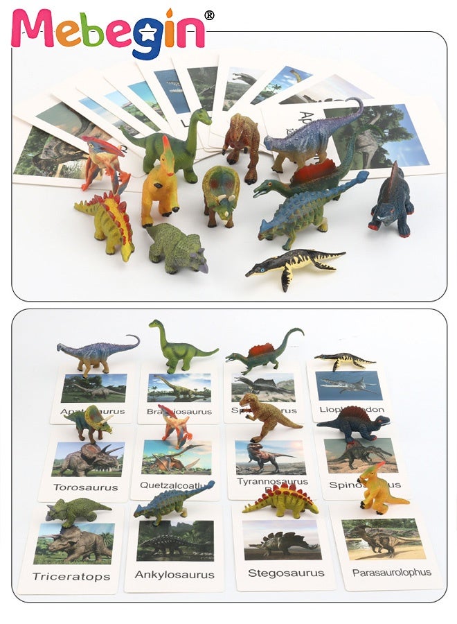 MEBEGIN 12PCS Realistic Dinosaur Figures with 12 Cards, Early Educational Toy for Kids, Fun Animal Model Toys, Parent-child Interactive Toy, Easy to Organize and Carry, Ideal Gift for Kids Aged 3+ - Image 2