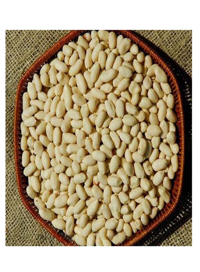 Avenn Khari Sing | Israeli Jumbo Roasted Salted with Husk Peanuts | High Protein - Gluten Free Mungfali | Singdana (Without Skin, 800 GM) - Image 3