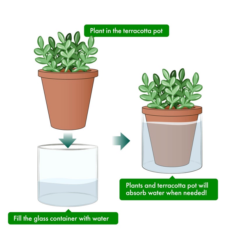 D'vine Dev 4 Inch Design Self Watering Pot for Indoor Plants, Terracotta Planter with Cylinder Glass Cup, Set of 4, 37-Z-A-1-F - Image 4