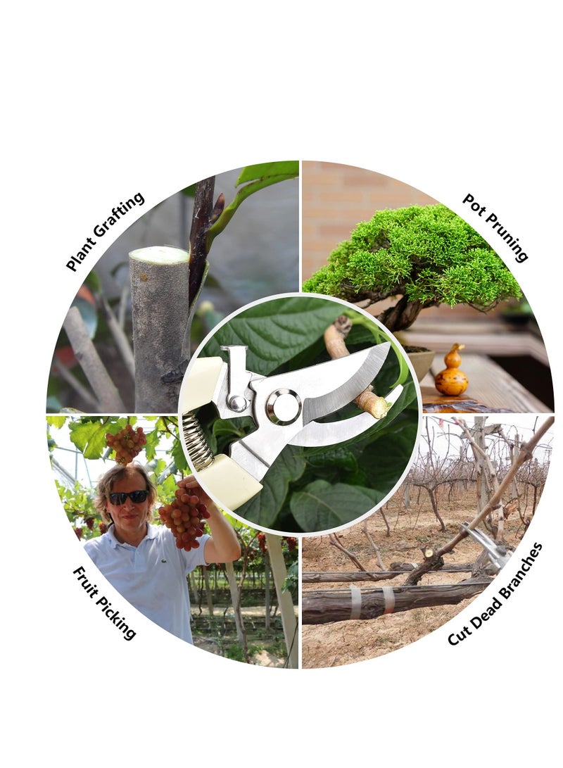 SOLARAE Garden Scissors, 2 Pack Pruning Shears for Gardening, Garden Pruning Shears Set, 1 Bypass Pruner+1 Straight Blade Scissors, for Cutting Flowers, Trimming Plants, Bonsai, Fruits Picking - Image 4