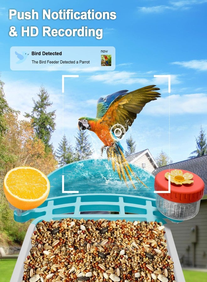 VISIOGEAR 2-in-1 Smart Wild Bird Feeder & Bath with 4K HD Camera, AI Identification Solar Bird Feeder Watching Camera Night Vision for Outdoor Birds Watching Gifts for Birdlover, Blue - Image 4