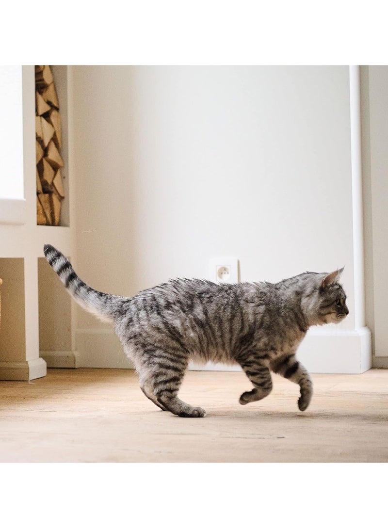 بيفار أفضل 10 أقراص فيتامين 180 للقطط - Image 5