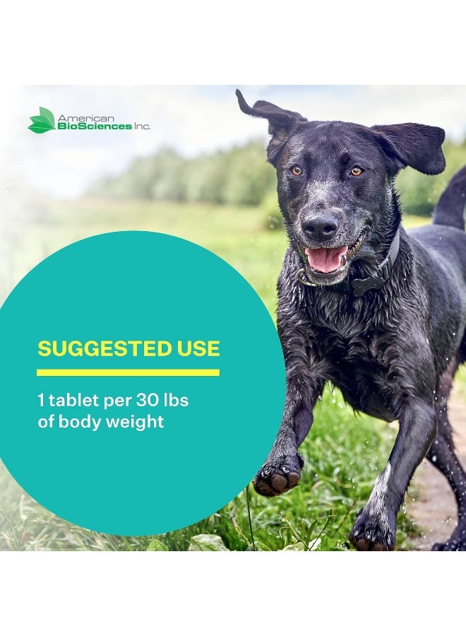 American BioSciences DGP, Joint Relief Formula for Pets, 60 - Image 3