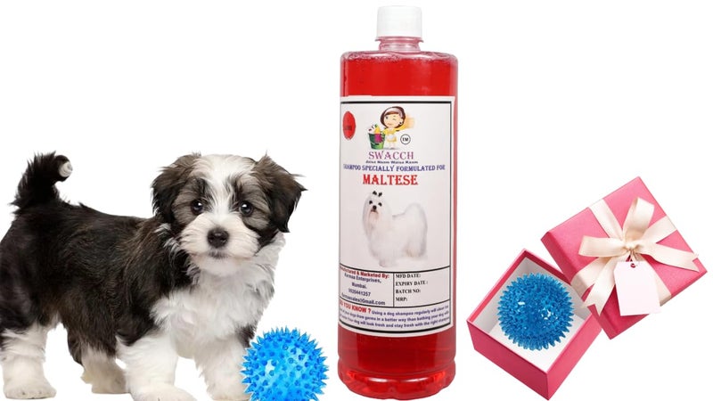 swacch Shampoo | Puppy Safe Shampoo | PH Balanced | Ditch to Itch for Maltese Dog Shampoo 1 Litre (Jasmine) + Spike Ball Chew Toy Combo Pack - Image 1