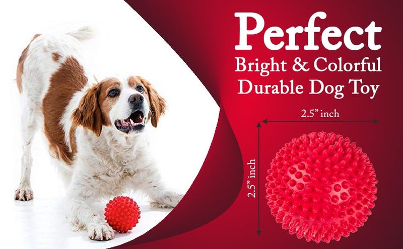 swacch Shampoo | Puppy Safe Shampoo | PH Balanced | Ditch to Itch for Maltese Dog Shampoo 1 Litre (Jasmine) + Spike Ball Chew Toy Combo Pack - Image 4